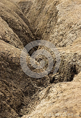 Very cracked volcanic soil, dry, with valleys, in the area of â€‹â€‹muddy volcanoes in Buzau, Romania Stock Photo